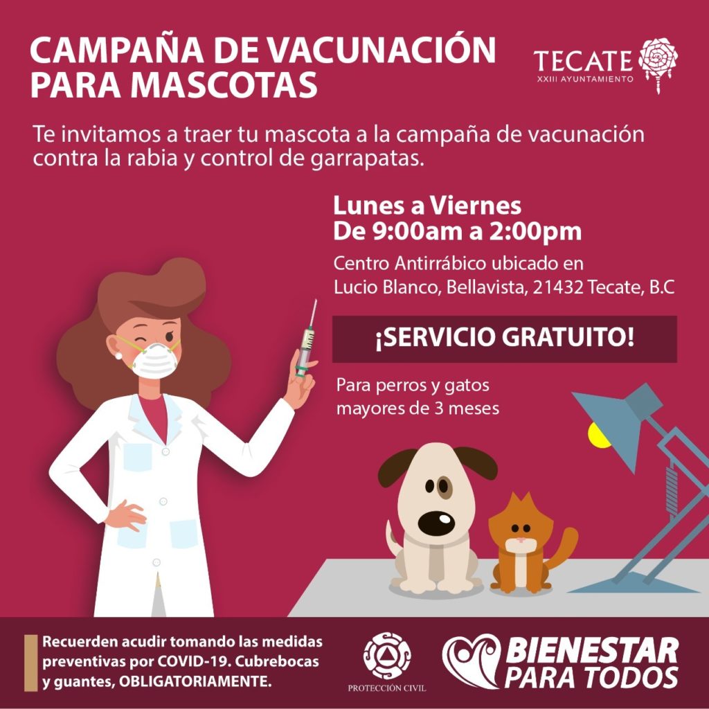Vacuna, Campaña, Mascotas, Ayuntamiento de Tecate