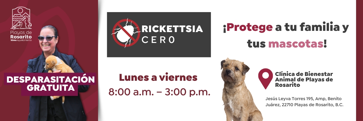 RICKETTSIA CERO